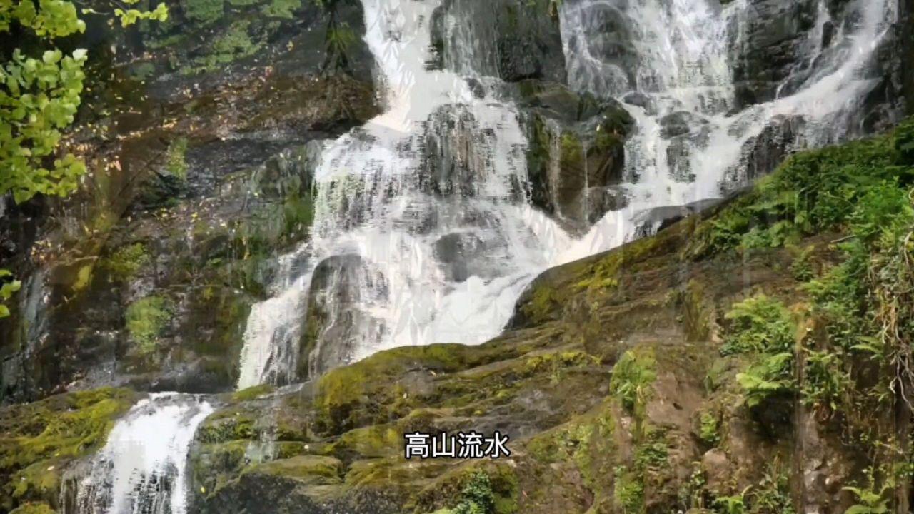 逃离黄金城堡